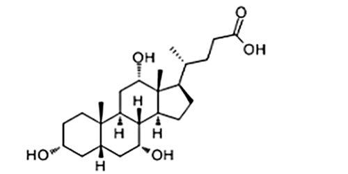 膽酸.jpg